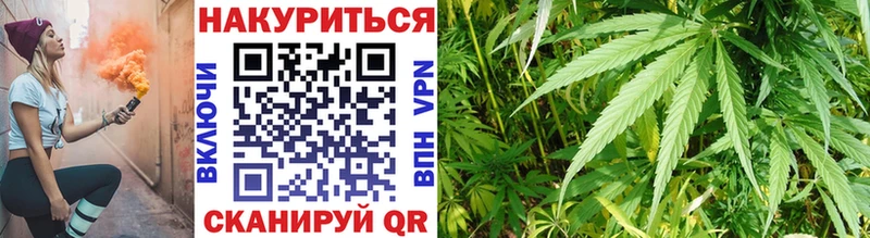 Конопля конопля Южно-Сухокумск